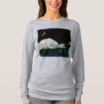 Polair Beer en de maan