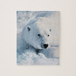 Polair Beer en sneeuw Legpuzzel