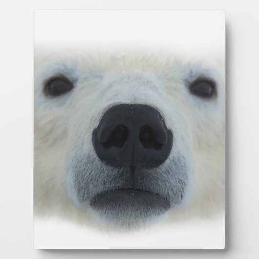 Polair Beer Fotoplaat (Voorkant)