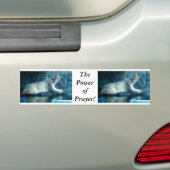 Polair Beer in de Bumpersticker van gebeden (Op auto)