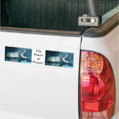 Polair Beer in de Bumpersticker van gebeden (Op Truck)