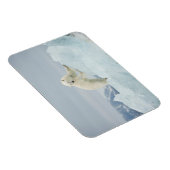 Polair beer in de zomer magneet (Rechterzijde)