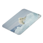 Polair beer in de zomer magneet (Linkerzijde)