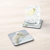 Polair beer in de zomer onderzetter (Rechterzijde)