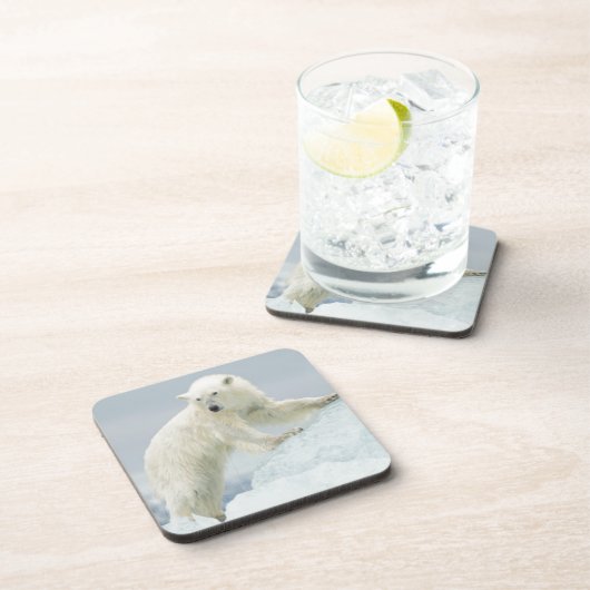 Polair beer in de zomer onderzetter (Rechterzijde)