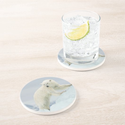 Polair beer in de zomer zandsteen onderzetter (Zijkant)