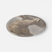 Polair beer in sneeuw illustratie papieren bordje (Gekanteld)