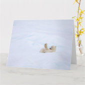 Polair beer in sneeuw kaart (Gele Bloem)