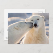 Polair Beer Kiss Feestdagenkaart (Voorkant / Achterkant)