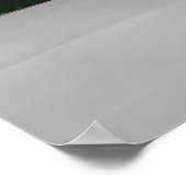 Polair Beer, koolvis en noorderlicht aurora Poster (Hoek)