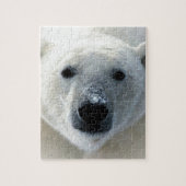 Polair Beer Legpuzzel (Verticaal)