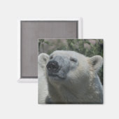 Polair Beer Magneet (Voorkant / Achterkant)