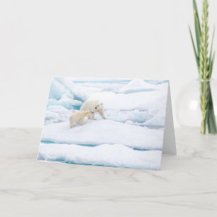 Polair beer met kubus feestdagen kaart