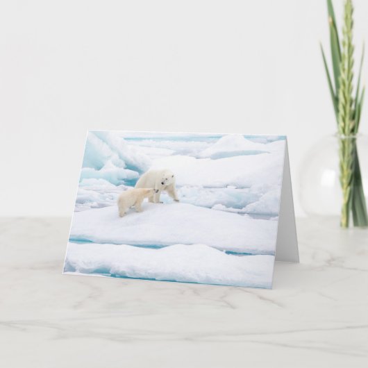 Polair beer met kubus feestdagen kaart (Voorkant)