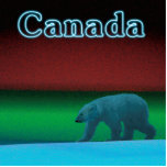 Polair Beer met Polaire verlichting - Canada Fotobeeldje Magneet<br><div class="desc">Een polair beer roamt het ijs tijdens de lange polaire nacht; de noordelijke lichten in rode en groene gloed op afstand. De tekst "Canada" wordt weergegeven in blauw gloed. Polaire beren zijn zeer bedreigd. Hoe lang zullen dergelijke scènes nog kunnen voorkomen? Help Polaire Beren te redden van uitsterven.</div>