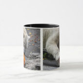 Polair Beer met pompoen Mok (Midden)