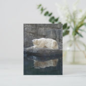 Polair Beer met reflectie Briefkaart (Staand voorkant)