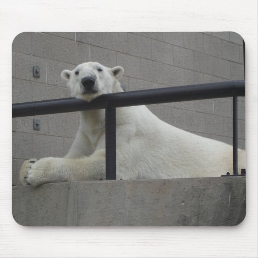 Polair Beer Muismat (Voorkant)