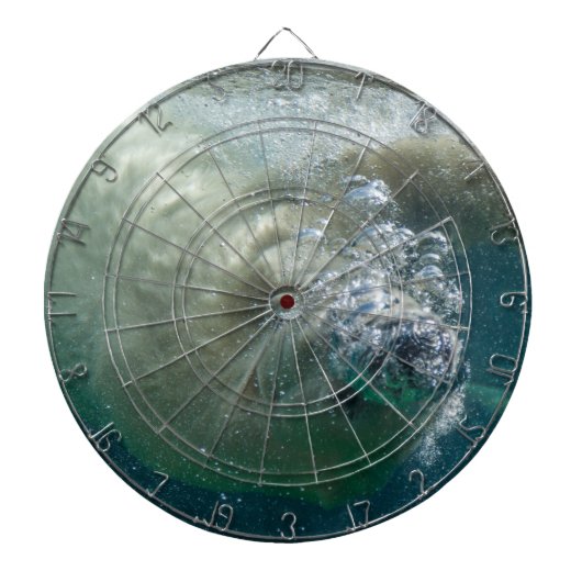 Polair beer onder water dartbord (Voorkant)