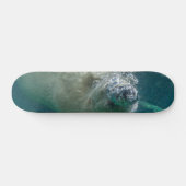 Polair beer onder water persoonlijk skateboard (Horizontaal)