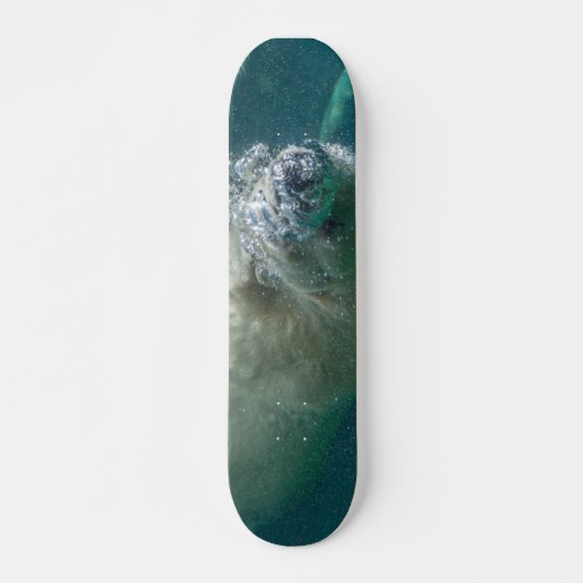 Polair beer onder water persoonlijk skateboard (Voorkant)
