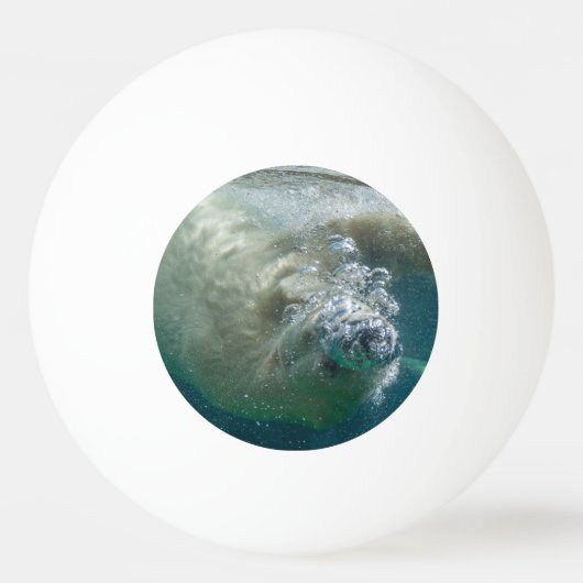 Polair beer onder water pingpongbal (Voorkant)