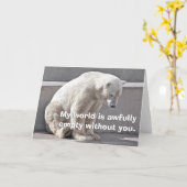 Polair Beer ontbreekt je Kaart (Gele Bloem)