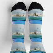 Polair Beer ontmoet Jack Russell, Sokken van beman (Top)