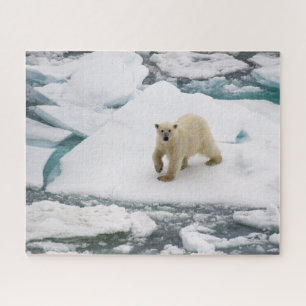 Polair Beer op Arctisch Zee Ice in Svalbard Legpuzzel