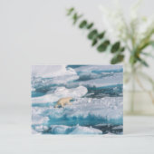 Polair Beer op het Zee Briefkaart (Staand voorkant)