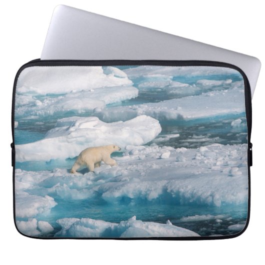 Polair Beer op het Zee Laptop Sleeve (Voorkant)