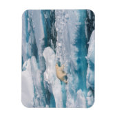 Polair Beer op het Zee Magneet (Verticaal)