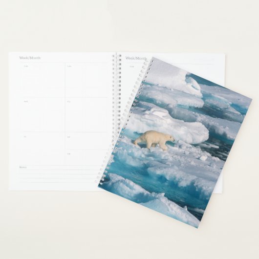 Polair Beer op het Zee Planner (Display)