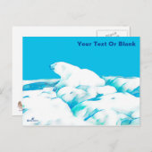 Polair Beer op ijs Briefkaart (Voorkant / Achterkant)