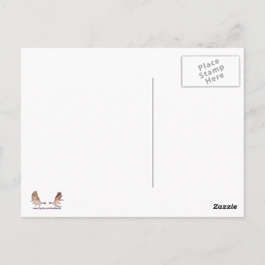 Polair Beer op ijs Briefkaart (Achterkant)