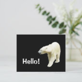 Polair Beer op zwarte Hallo Briefkaart (Staand voorkant)