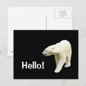 Polair Beer op zwarte Hallo Briefkaart (Voorkant / Achterkant)