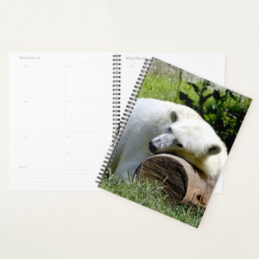 Polair Beer Planner (Display)