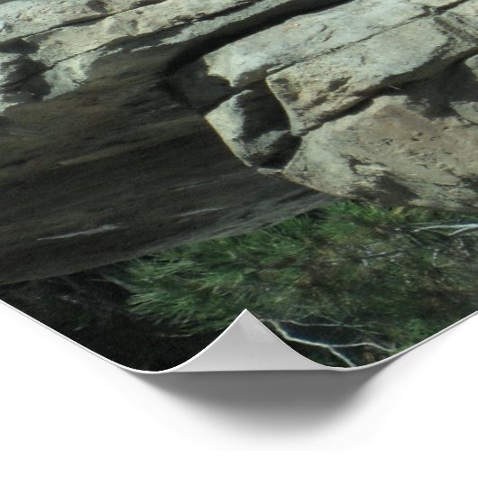 Polair Beer Poster (Hoek)