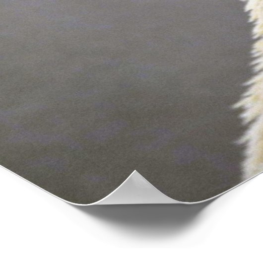 Polair beer poster (Hoek)