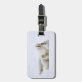 Polair beer rolt in sneeuw, Noorwegen Bagagelabel (Voorkant verticaal)