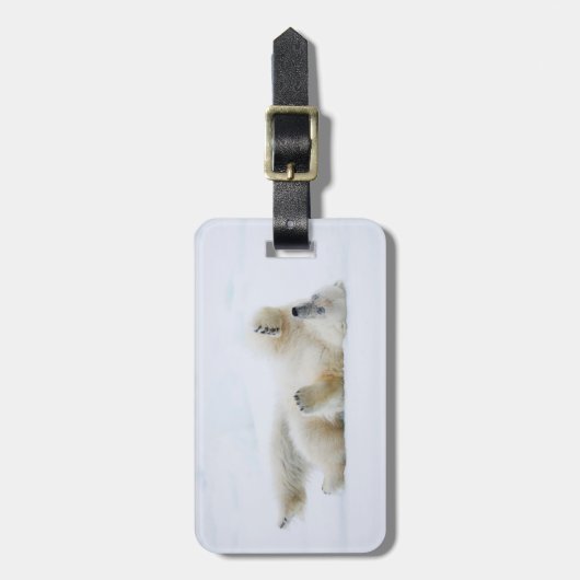 Polair beer rolt in sneeuw, Noorwegen Bagagelabel (Voorkant verticaal)