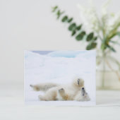 Polair beer rolt in sneeuw, Noorwegen Briefkaart (Staand voorkant)