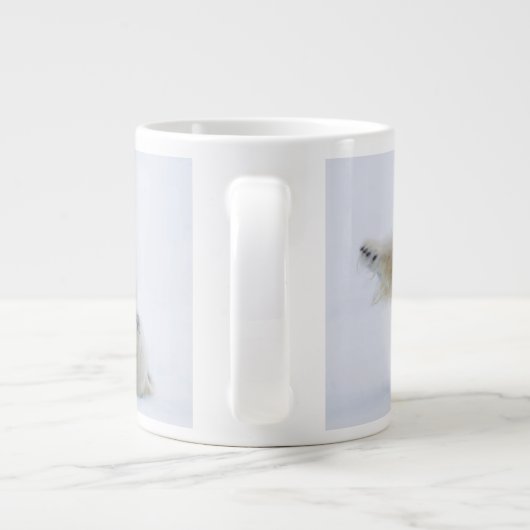 Polair beer rolt in sneeuw, Noorwegen Grote Koffiekop (Achterkant)