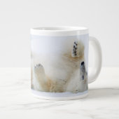 Polair beer rolt in sneeuw, Noorwegen Grote Koffiekop (Voorkant rechts)