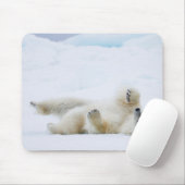 Polair beer rolt in sneeuw, Noorwegen Muismat (Met muis)