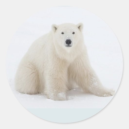 Polair Beer Ronde Sticker (Voorkant)