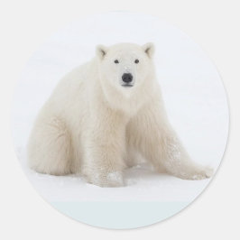 Polair Beer Ronde Sticker