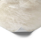 Polair beer strijdt met een ander beer poster (Hoek)