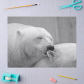 polair beer tissuepapier (Craft)